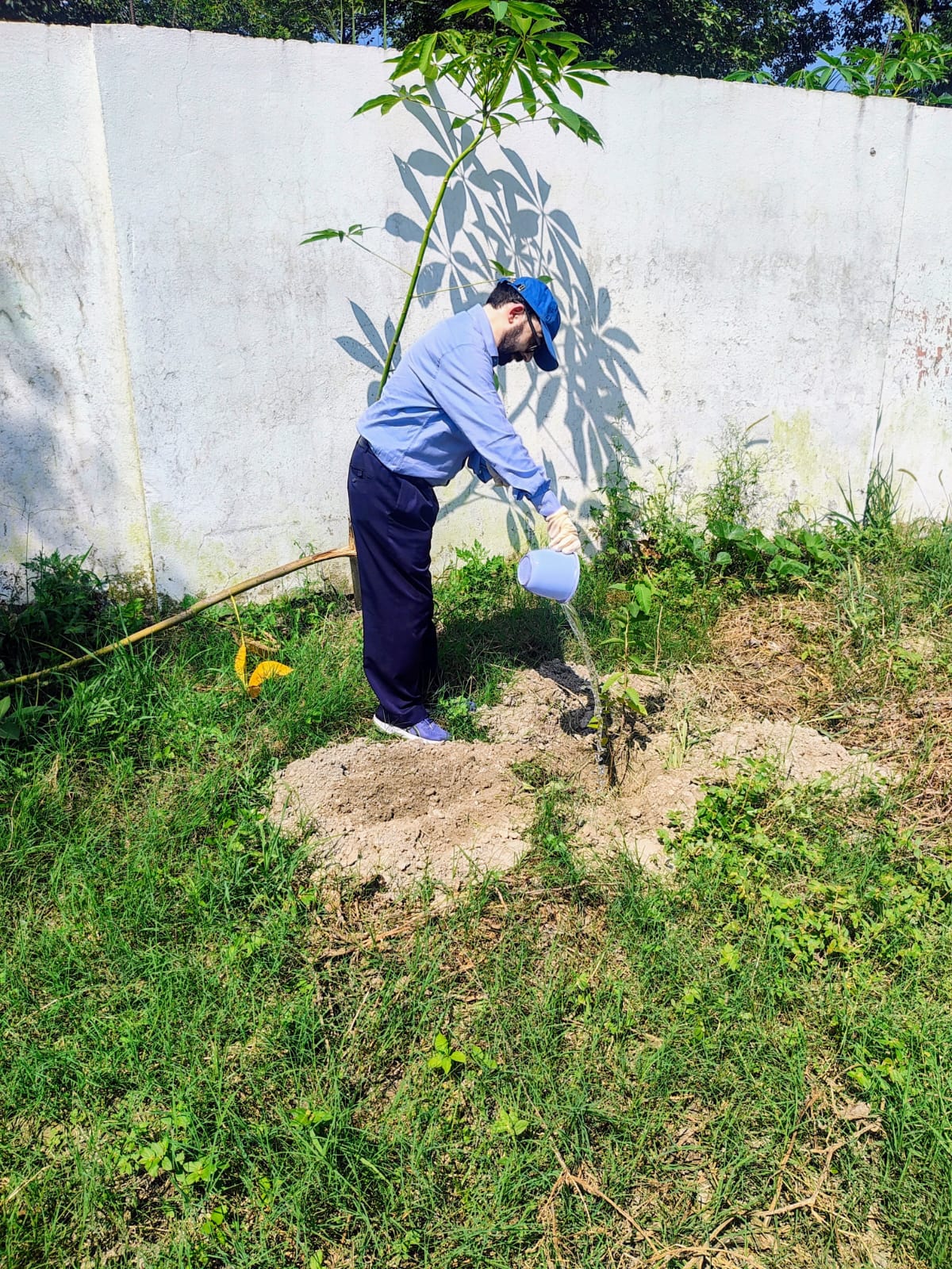 Massive Plantation In Sitapur